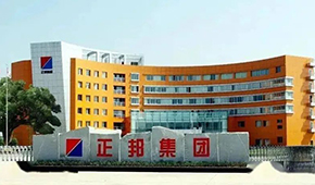 “江西豬王”易主，雙胞胎正式入主正邦