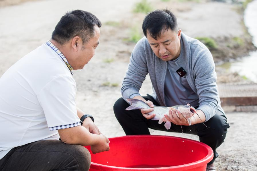 1705973712971384.png 1705973712971384.png