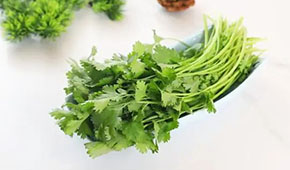 香菜餅、香菜丸、香菜油條、香菜小酥肉…香菜為啥這么“香”？