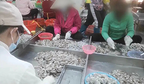 3·15晚會(huì)曝光凍蝦仁超量添加保水劑，相關(guān)企業(yè)產(chǎn)品下架