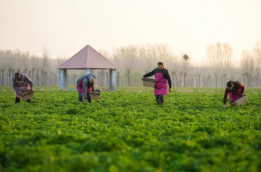 1744945170183332.jpg 1744945170183332.jpg