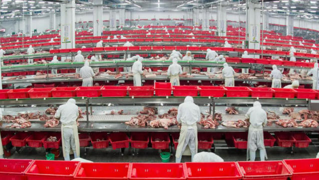 金鑼、郯潤、齊匯、瑞發(fā)德、喜姐炸串……山東臨沂“食力派”全鏈發(fā)力、高質(zhì)躍升