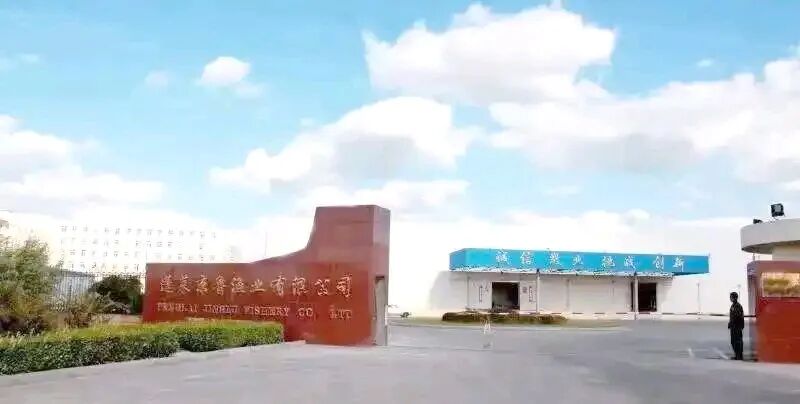 1775528429936913.jpg 1775528429936913.jpg