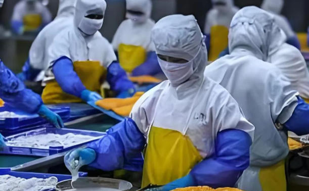 春雪、龍大、匯洋、南滬…肉制品、水產(chǎn)品、海鮮水餃全面開(kāi)花，煙臺(tái)“食”力突圍